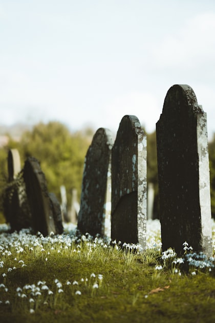 The Importance of Stone Cleaning